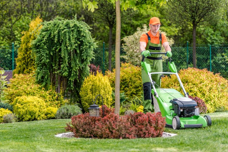 Summer Lawn Care in Bowie, MD
