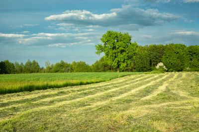Field Mowing