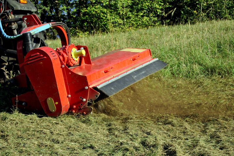 Vegetation Being Cut