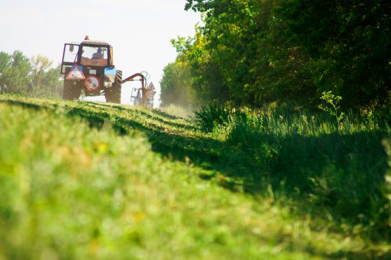 Bush Hogging Service in Waldorf, MD